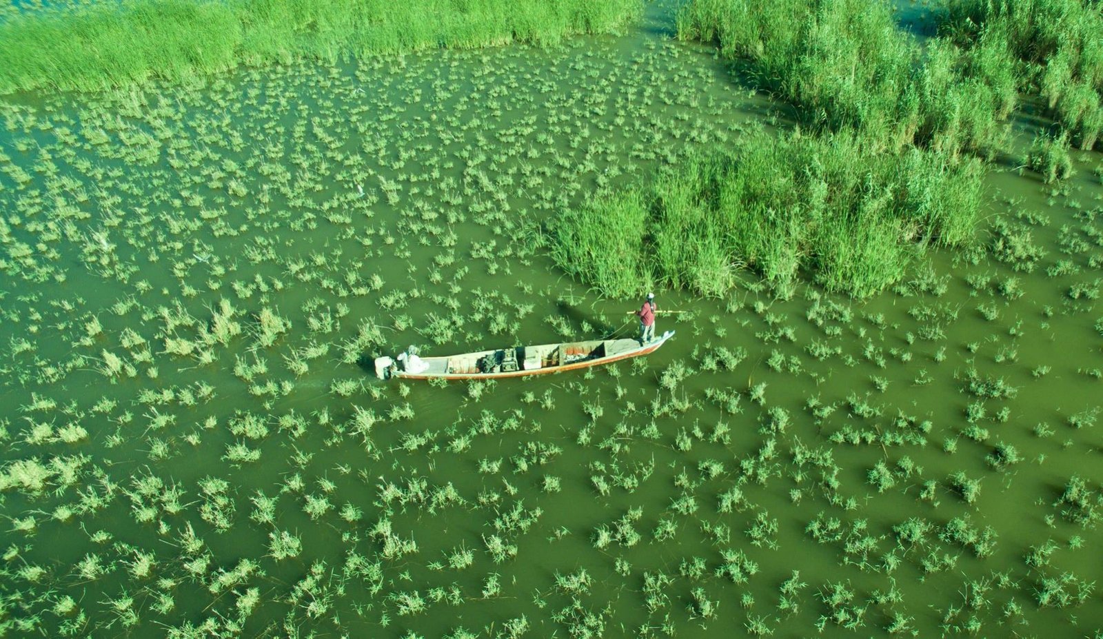 The Mesopotamian marshes seen from above: green water, scattered reed beds, and a narrow boat with a standing boatman.